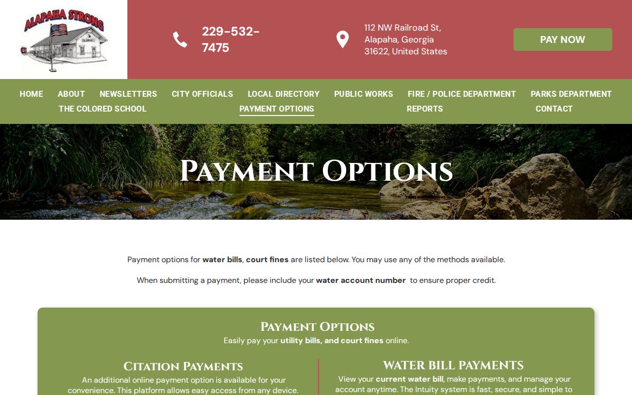 Alapaha court docket payment options